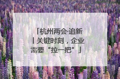 杭州两会·追新丨关键时刻，企业需要“拉一把”