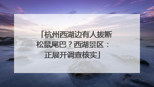 杭州西湖边有人拔断松鼠尾巴？西湖景区：正展开调查核实