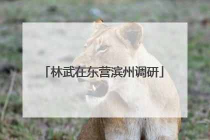 林武在东营滨州调研