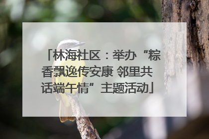 林海社区：举办“粽香飘逸传安康 邻里共话端午情”主题活动