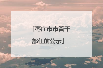 枣庄市市管干部任前公示