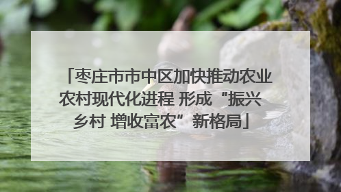 枣庄市市中区加快推动农业农村现代化进程 形成“振兴乡村 增收富农”新格局