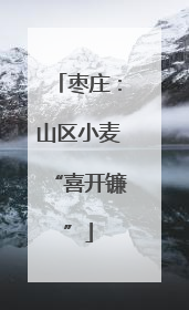 枣庄：山区小麦“喜开镰”