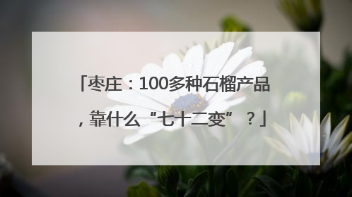 枣庄：100多种石榴产品，靠什么“七十二变”？