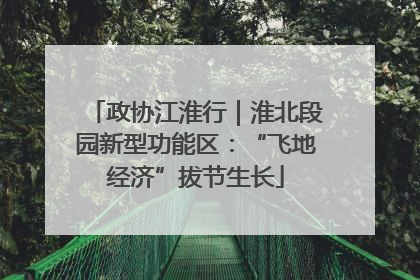 政协江淮行｜淮北段园新型功能区：“飞地经济”拔节生长