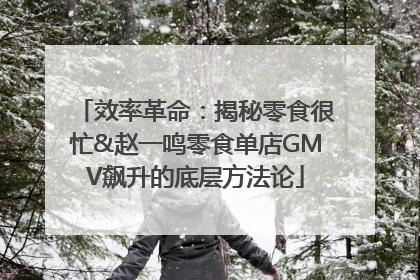 效率革命：揭秘零食很忙&赵一鸣零食单店GMV飙升的底层方法论