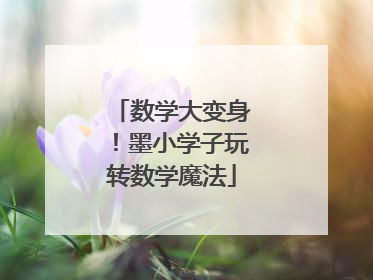 数学大变身！墨小学子玩转数学魔法