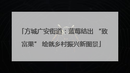方城广安街道：蓝莓结出 “致富果” 绘就乡村振兴新图景