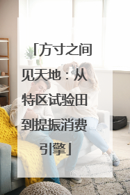 方寸之间见天地：从特区试验田到提振消费引擎