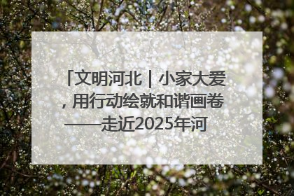 文明河北｜小家大爱，用行动绘就和谐画卷——走近2025年河北省“最美家庭”