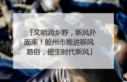 文明润乡野，新风扑面来！胶州市推进移风易俗，催生时代新风