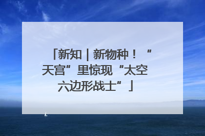 新知｜新物种！“天宫”里惊现“太空六边形战士”