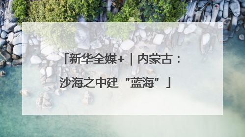 新华全媒+｜内蒙古：沙海之中建“蓝海”