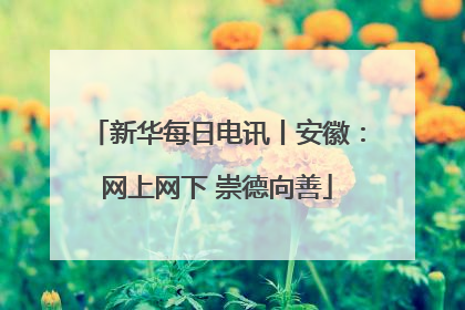 新华每日电讯丨安徽：网上网下 崇德向善