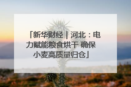 新华财经｜河北：电力赋能粮食烘干 确保小麦高质量归仓