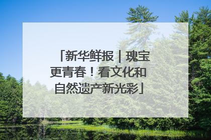新华鲜报｜瑰宝更青春！看文化和自然遗产新光彩