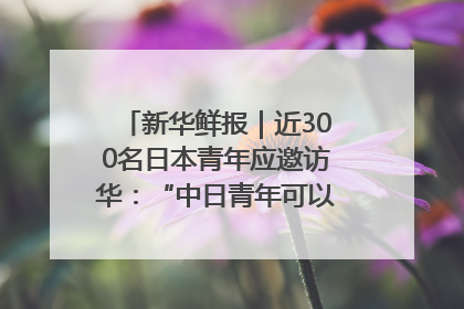新华鲜报｜近300名日本青年应邀访华：“中日青年可以创造更好的未来”