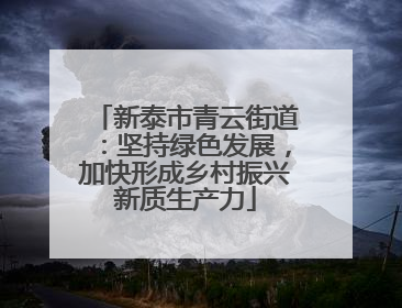 新泰市青云街道：坚持绿色发展，加快形成乡村振兴新质生产力