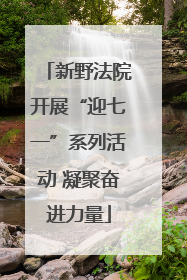 新野法院开展“迎七一”系列活动 凝聚奋进力量