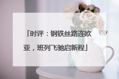 时评：钢铁丝路连欧亚，班列飞驰启新程