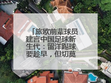 旅欧前辈球员建言中国足球新生代：留洋踢球要趁早，但切莫想着一步登天
