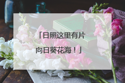 日照这里有片向日葵花海！