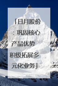 日月股份：巩固核心产品优势 积极拓展多元化业务
