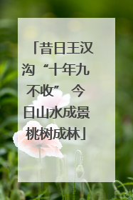 昔日王汉沟“十年九不收” 今日山水成景桃树成林