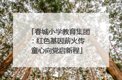 春城小学教育集团：红色基因薪火传 童心向党启新程