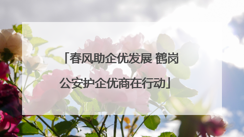 春风助企优发展 鹤岗公安护企优商在行动