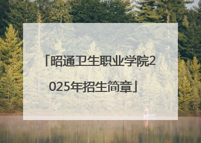昭通卫生职业学院2025年招生简章