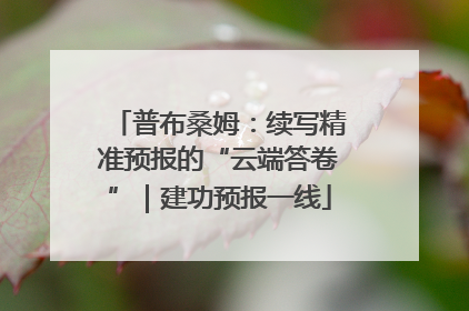 普布桑姆：续写精准预报的“云端答卷”｜建功预报一线