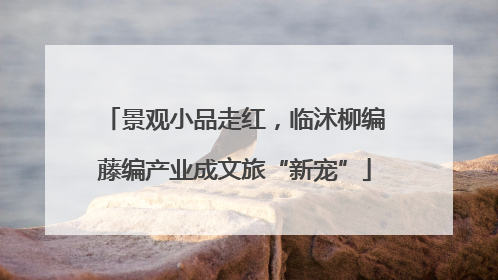景观小品走红，临沭柳编藤编产业成文旅“新宠”