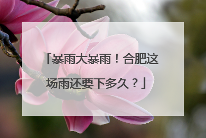 暴雨大暴雨！合肥这场雨还要下多久？