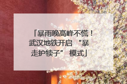 暴雨晚高峰不慌！武汉地铁开启 “暴走护犊子” 模式
