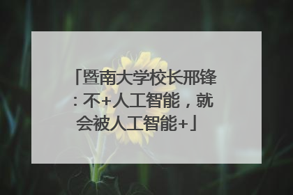 暨南大学校长邢锋：不+人工智能，就会被人工智能+