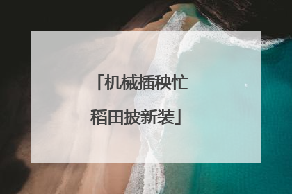 机械插秧忙 稻田披新装