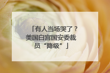 有人当场哭了？美国白宫国安委裁员“降级”