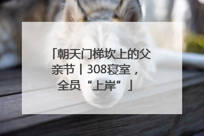 朝天门梯坎上的父亲节丨308寝室，全员“上岸”