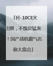 歼-10CE火出圈，不愧是猛龙！国产战机霸气名称大盘点