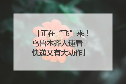 正在“飞”来！乌鲁木齐人速看 快递又有大动作