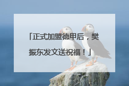 正式加盟德甲后，樊振东发文送祝福！