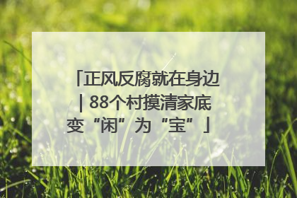 正风反腐就在身边｜88个村摸清家底变“闲”为“宝”