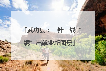 武功县：一针一线“绣”出就业新图景