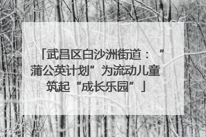 武昌区白沙洲街道：“蒲公英计划”为流动儿童筑起“成长乐园”