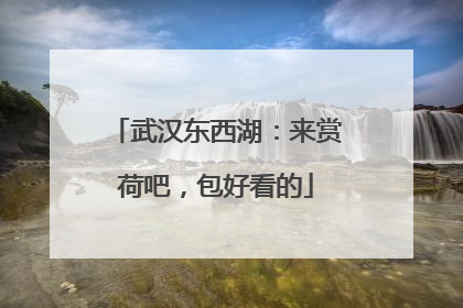 武汉东西湖：来赏荷吧，包好看的