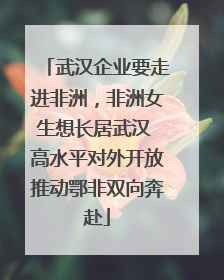 武汉企业要走进非洲，非洲女生想长居武汉 高水平对外开放推动鄂非双向奔赴