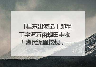 桂东出海记丨即墨丁字湾万亩蚬田丰收！渔民泥里挖蚬，一天上岸过千斤