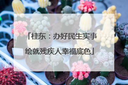 桂东：办好民生实事 绘就残疾人幸福底色