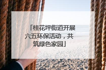 桂花坪街道开展六五环保活动，共筑绿色家园